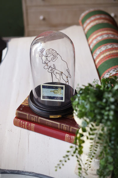 Astrological Zodiac Globe