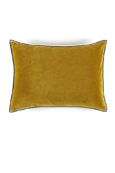 Aristote Cushion