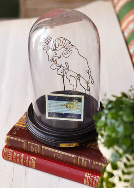 A clear glass dome cloche with a black base displaying a small Aries zodiac card, styled on top of two vintage red books with a green plant in the foreground.