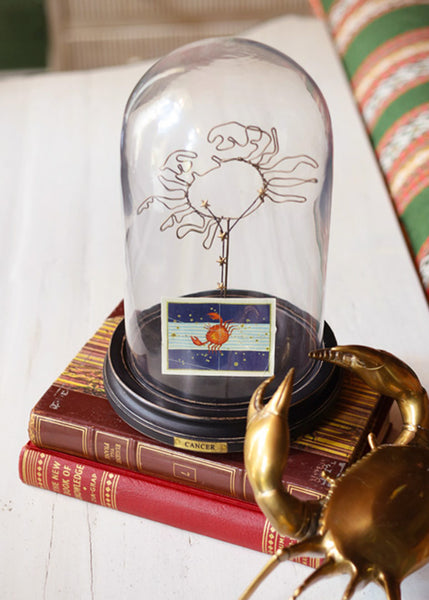 A glass dome display stand featuring a wire crab sculpture and a small zodiac card, styled on vintage books with a brass crab figurine in the foreground.