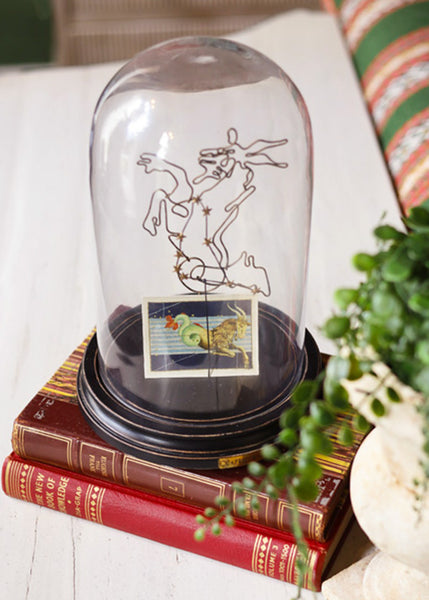 A clear glass dome cloche is displayed on a stack of vintage red books, featuring a black line-art celestial chart and a small vintage Capricorn illustration card inside. A potted green plant and a striped textile are visible in the softly blurred background.