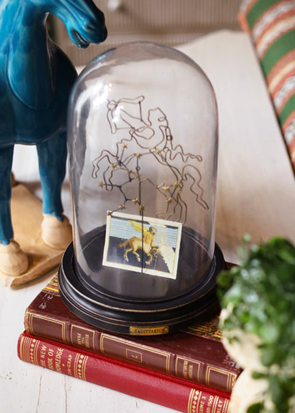 A clear glass dome display with a black round base, containing a constellation wire art design depicting Sagittarius and a small illustrated card. The display is styled on stacked vintage books, with a blue horse figurine and green foliage in the background.