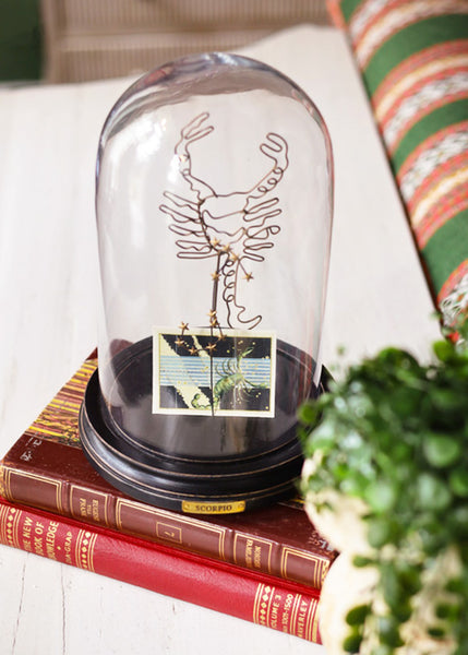 A clear glass dome display case with a black base, shown on top of stacked vintage books. Inside the dome is a wire model of the Scorpio star sign and an  illustrated card of the Scorpio constellation