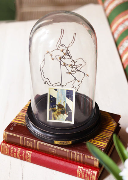 A clear glass dome cloche with a black base displaying the Taurus constellation drawing and a small vintage card, set on top of stacked antique books.