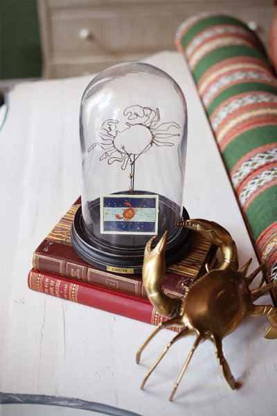 Astrological Zodiac Globe