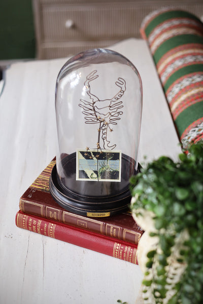 Astrological Zodiac Globe