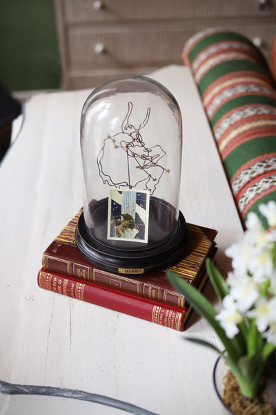 Astrological Zodiac Globe