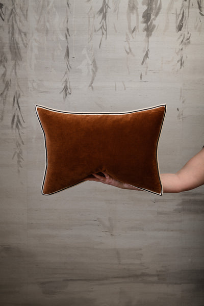 Aristote Cushion