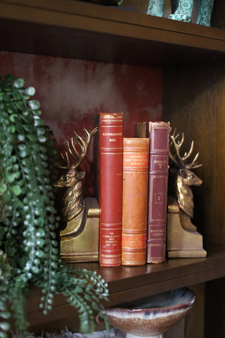 Gold Stag Head Bookends