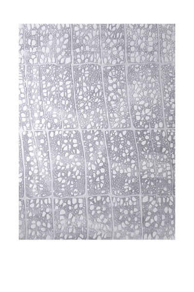 Eira Rug