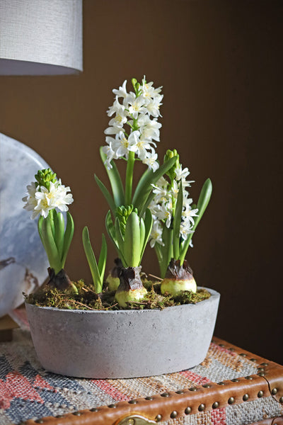 Faux Hyacinth Arrangement